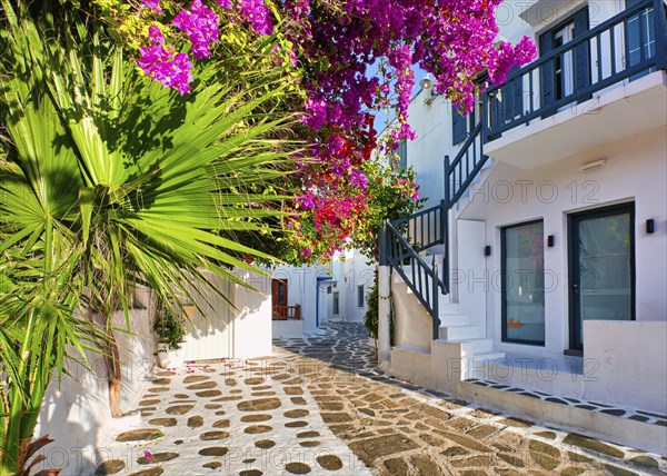 Romantic traditional narrow streets and beautiful walkways of Greek island towns. Whitewashed houses