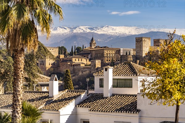 View of Alhambra and the snow-capped mountains of the Sierra Nevada