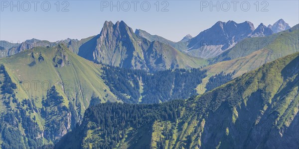 Panorama from Wildengundkopf