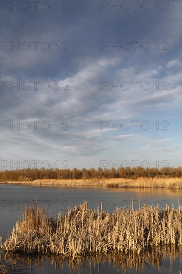 Wetland near Frose