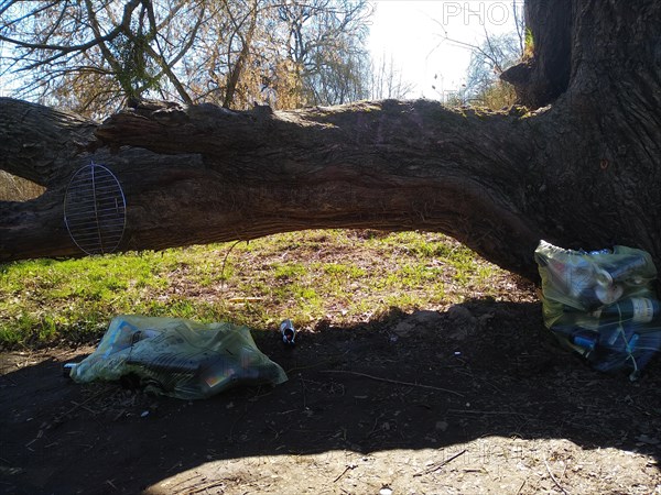 Illegally dumped rubbish in a nature reserve