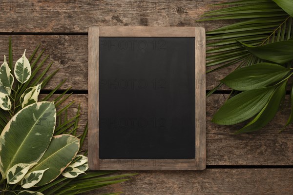 Top view beautiful plant leaves with chalkboard