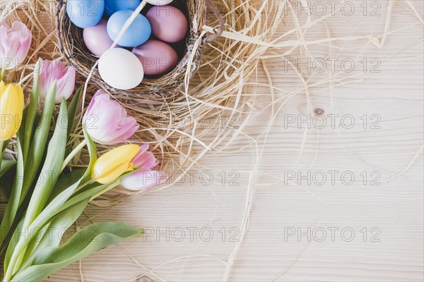 Tulips near eggs hay