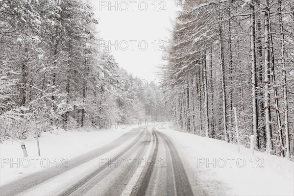 Winter road clod forest