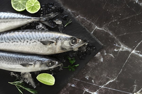 Arrangement healthy sea food