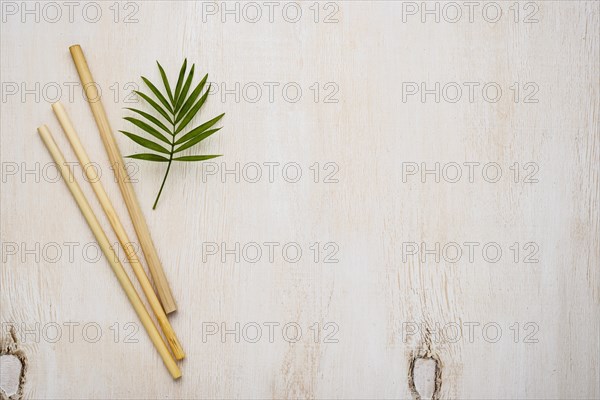 Flat lay eco friendly environment bamboo tube straws