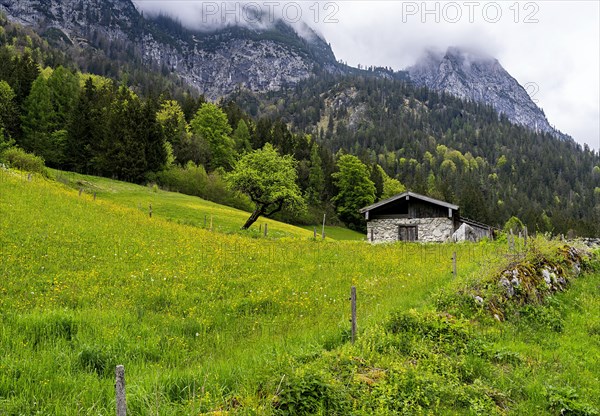 Kleine Huette am Berg