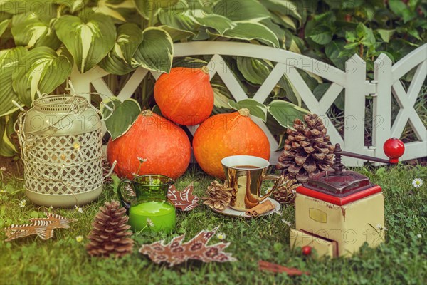 Autumn still life. Composition with hokkaido pumpkins