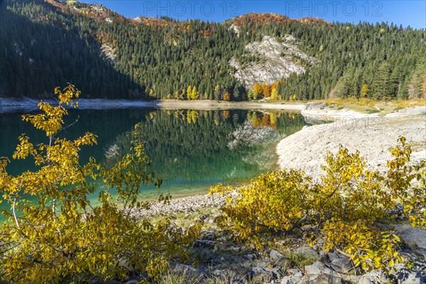 The Black Lake or Crno jezero