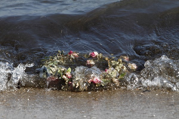 Marine litter washed up on the beach