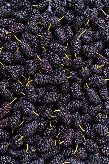 Top view assortment mulberries