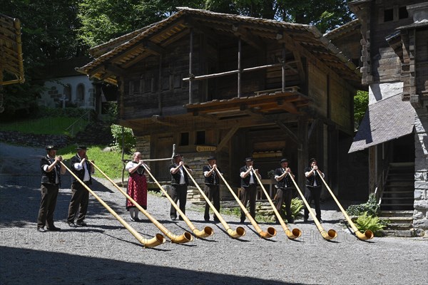 Alphorn players