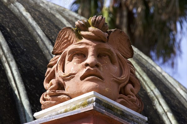 Terracotta head