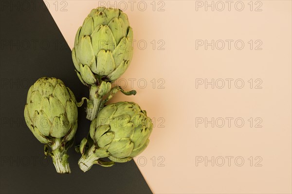 Arranged artichoke colorful backdrop