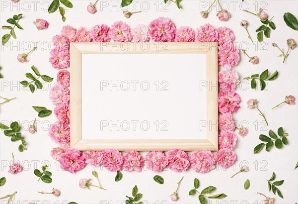 Frame set pink flowers green leaves