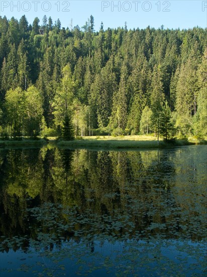 Ellbachsee