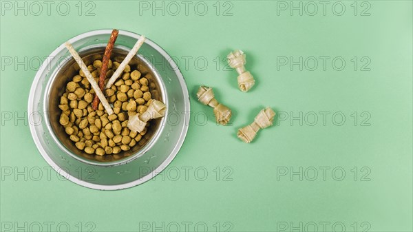 Bowl pet daities green background