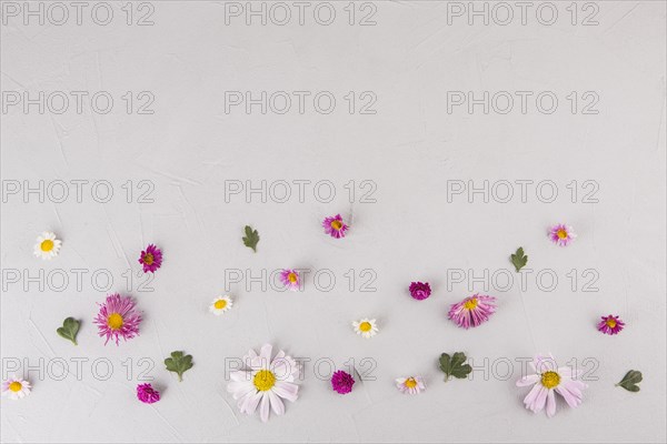 Bright flowers leaves scattered table