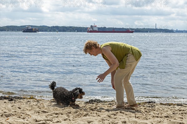 Woman playing with dog