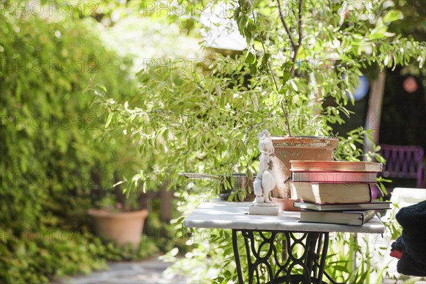 Books table backyard