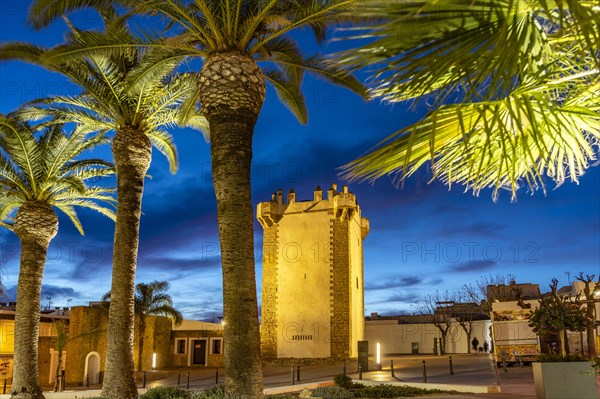 The historic tower Torre de Guzman at dusk