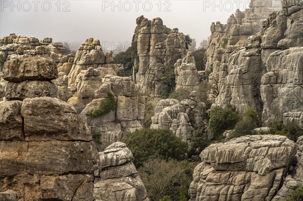 The extraordinary karst formations in the El Torcal nature reserve near Antequera