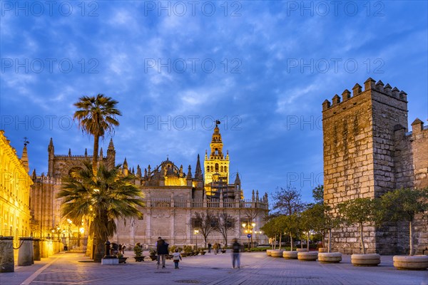 Santa Maria de la Sede Cathedral at dusk