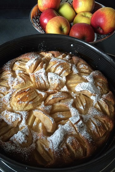 View of view of in the foreground homemade baked homemade apple sponge cake sponge cake with apple apple cake with visible cut apple pieces sprinkled with icing sugar in baking dish