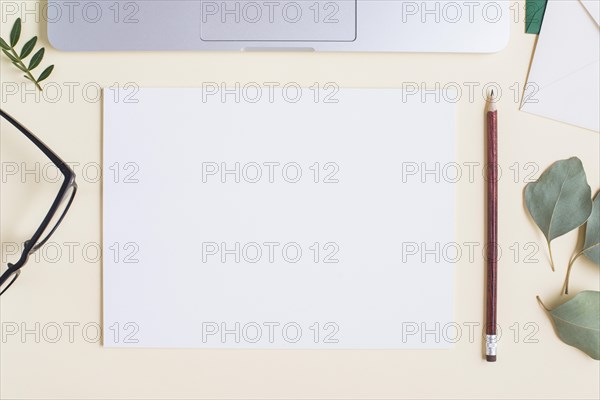 Blank white paper pencil eyeglasses leaves laptop beige backdrop