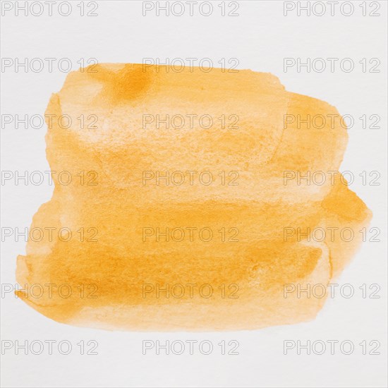 Abstract orange watercolor background spot white background