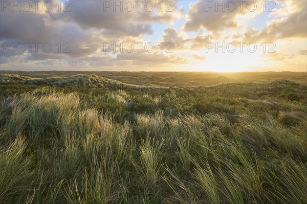 Sand dune