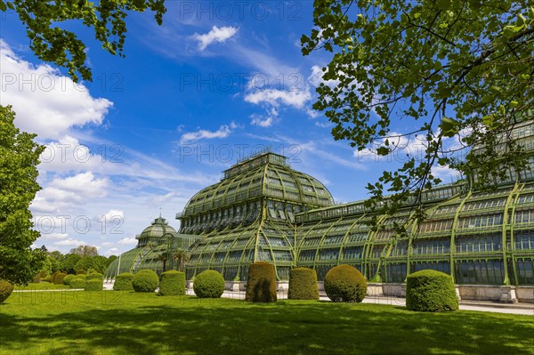 Palm House in Schoenbrunn Palace Park