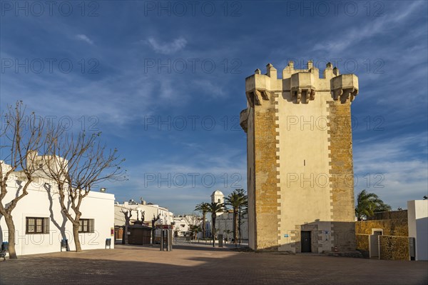 The historic tower Torre de Guzman