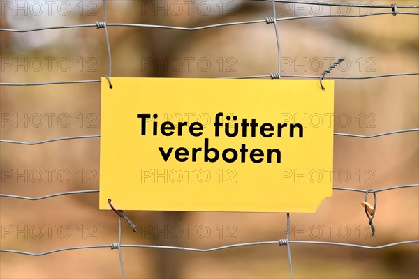 Yellow sign saying 'Feeding animals prohibited' in German language hanging on fence