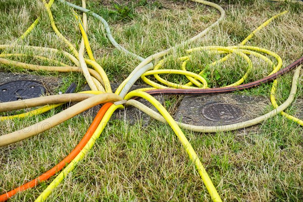 Many water hoses in a meadow