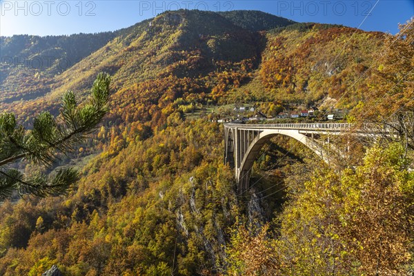 Tara Bridge and Tara Gorge in Autumn