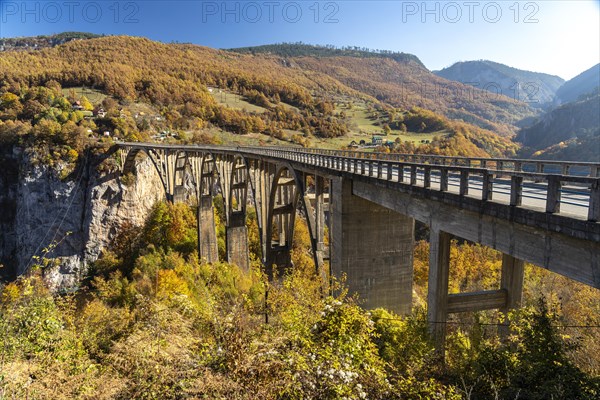 Tara Bridge and Tara Gorge in Autumn