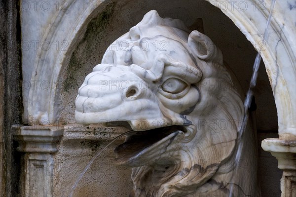 Marble head of a mythological animal