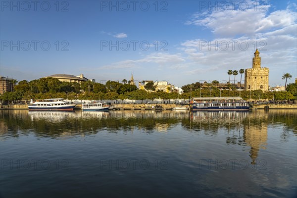 On the banks of the Guadalquivir river with the historic Torre del Oro tower in Seville