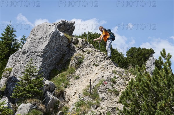 Hiker