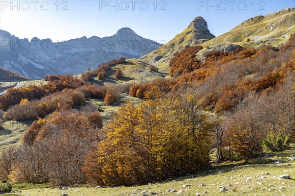 Mountain landscape of Durmitor National Park in autumn