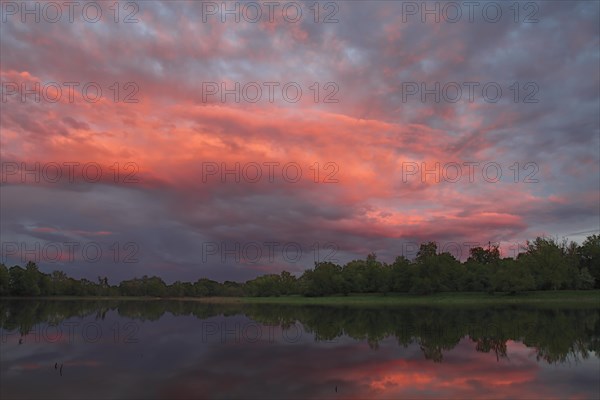 Evening mood in the floodplain forest