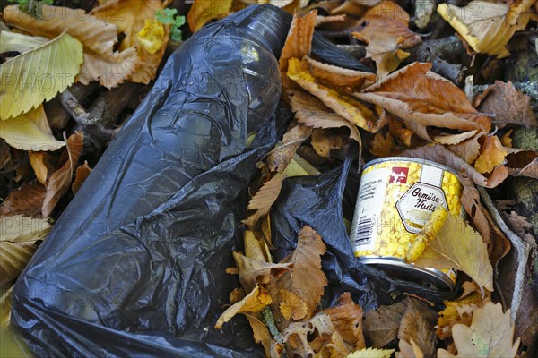 Illegally dumped rubbish in a nature reserve