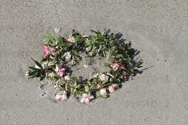 Marine litter washed up on the beach