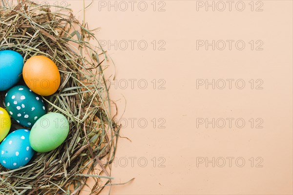 Set bright easter eggs nest