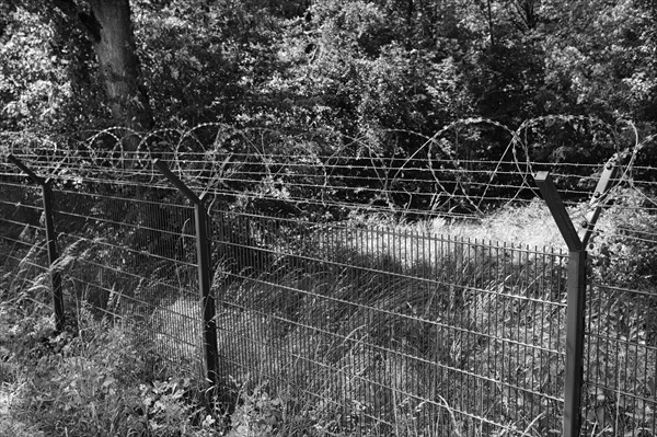 Military security area in the forest