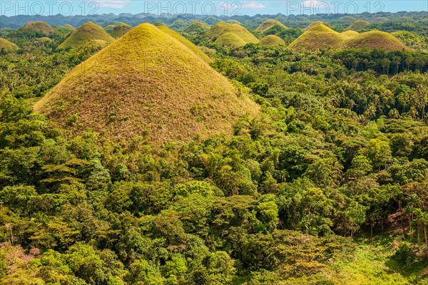 View from observation deck of conical earth formations landmark hills Chocolate Hills in tropical forest