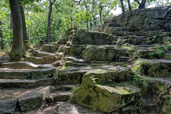 Felsenweg an der Rosstrappe