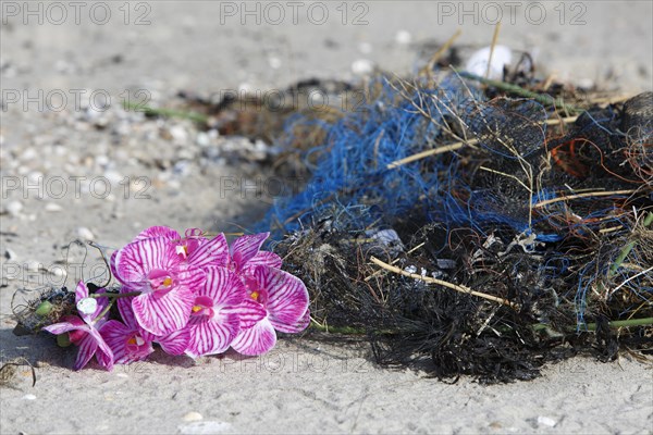 Marine litter washed up on the beach