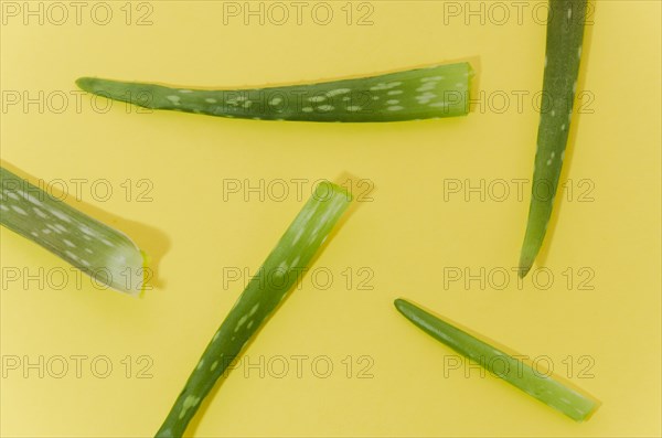 Aloe vera yellow background